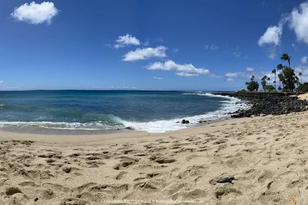 Brennecke's Beach